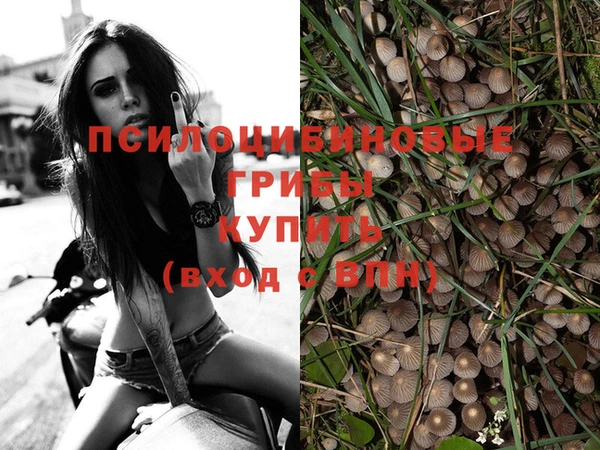 ECSTASY Баксан